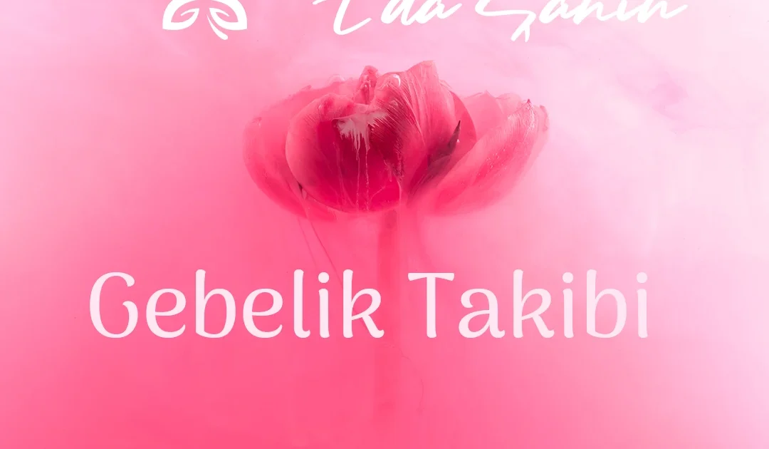 Gebelik Takibi Nedir
