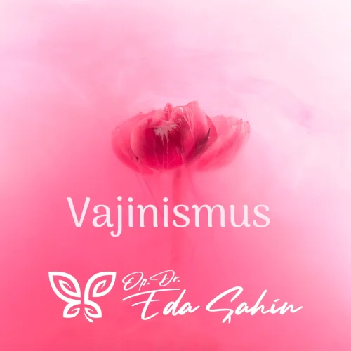 Vajinismus Tedavisi