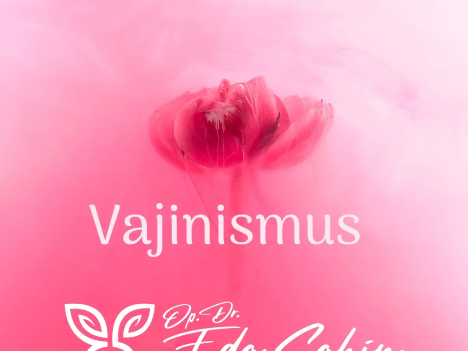 Vajinismus Tedavisi