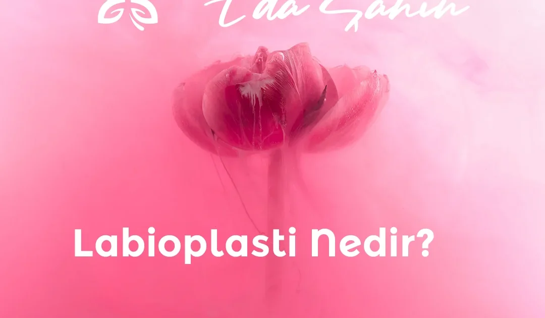 Labioplasti Nedir?