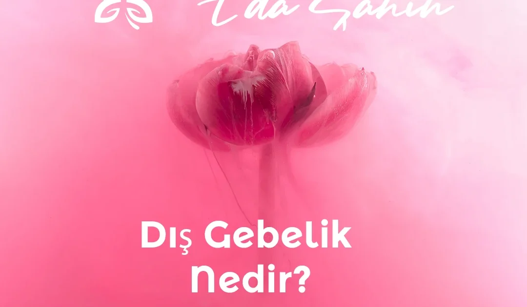 Dış Gebelik Nedir?