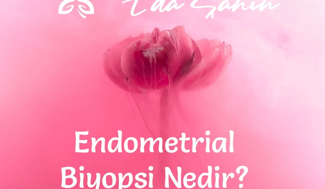 Endometrial Biyopsi Nedir?