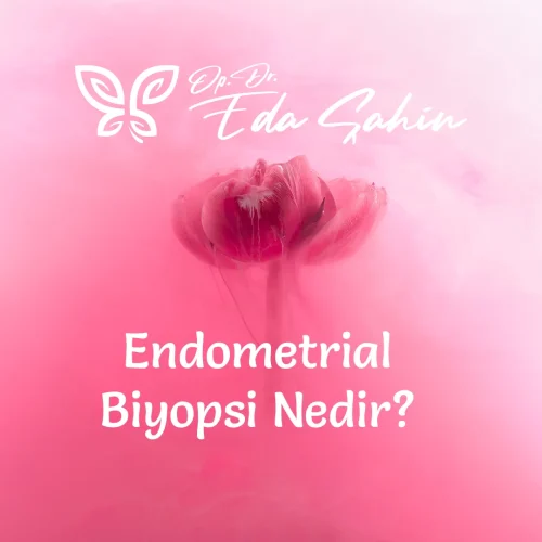 Endometrial Biyopsi Nedir?