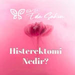 Histerektomi