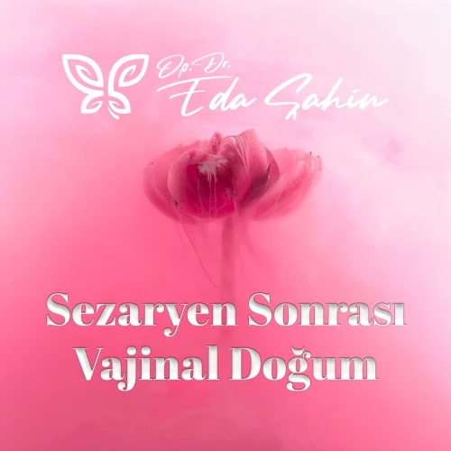 Sezaryen Sonrası Vajinal Doğum